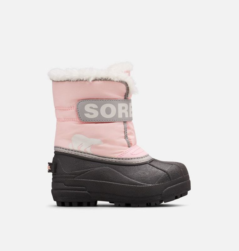 Kids Snow Boots Pink/Black - Sorel Toddler Commander™ - 761358-MAE